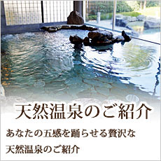 栃木県那須郡那珂川町の天然温泉・ふるさとロッジ　まほろばゆうゆう園小川【まほろばの湯-湯親館】　毎日温泉を入換え、循環かけ流ししている温泉です